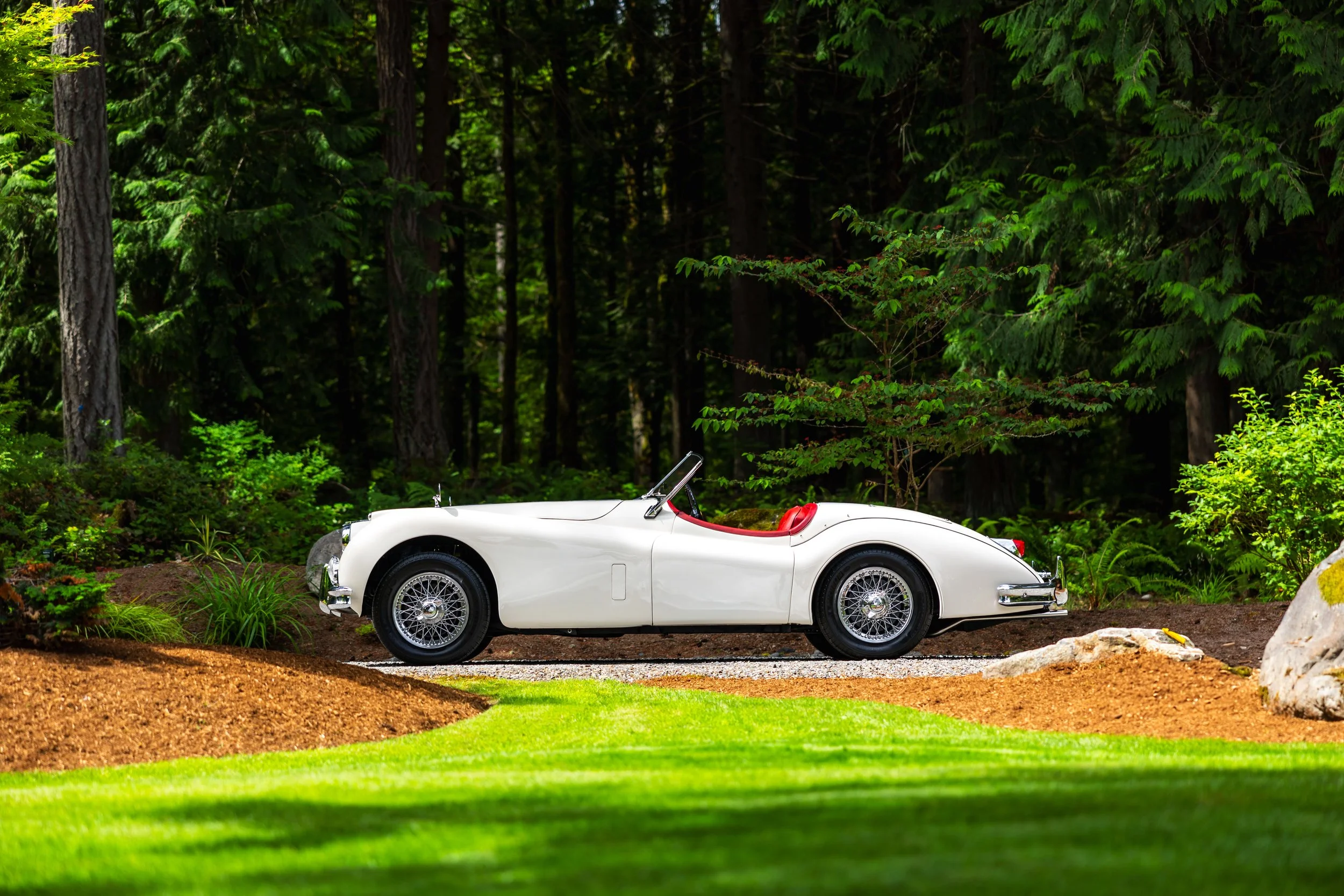 1955 Jaguar XK140 MC — Northwest European